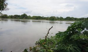 IMG-20211103-WA0014