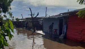 1604346134_113223_1604346329_noticia_normal_recorte1
