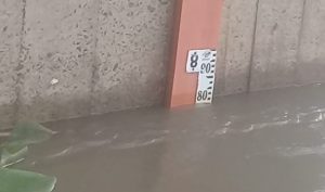 770aee51-eb12-4ed5-a82a-3780bee070ae